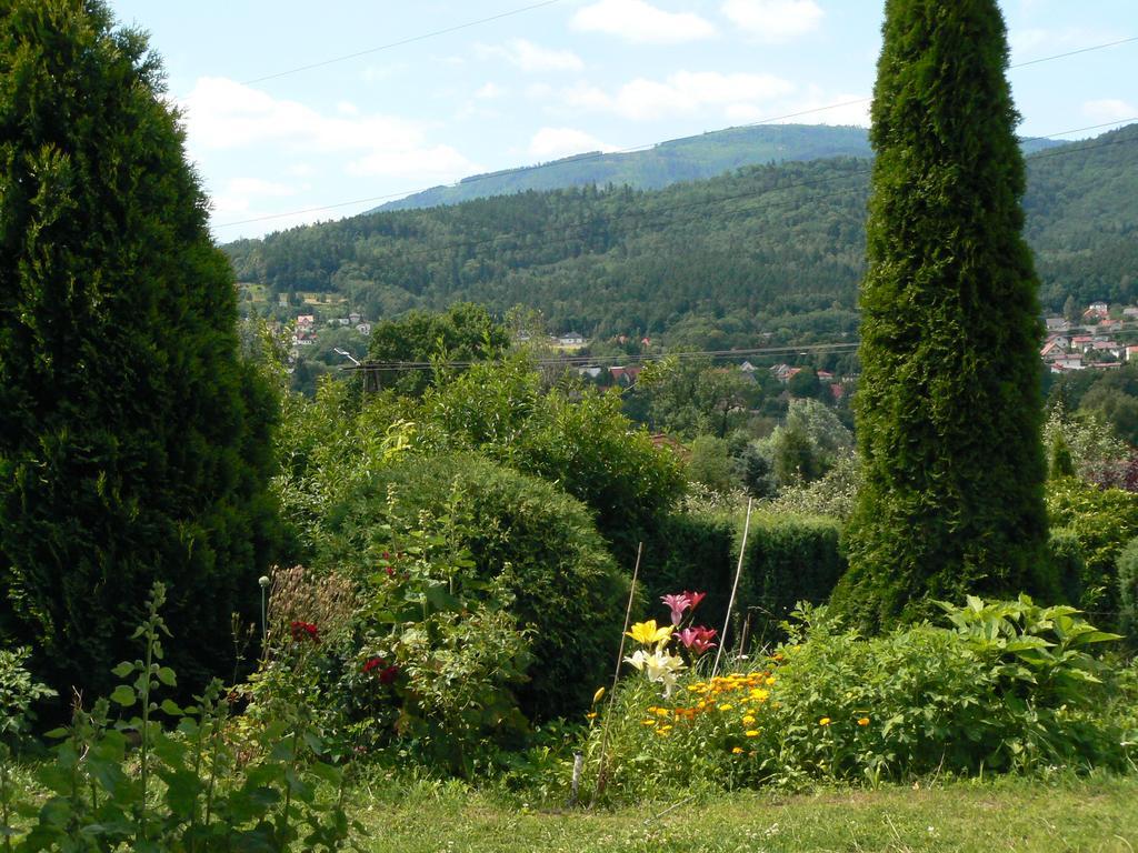Noclegi W Ksiegarni Bielsko-Biala Exterior foto